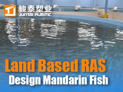 Zasnova kopenskega-Ras za mandarinske ribe